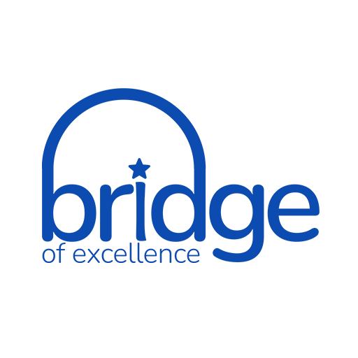 Bridge favicon